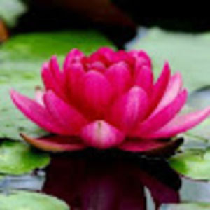 Meet your Posher, Jenni